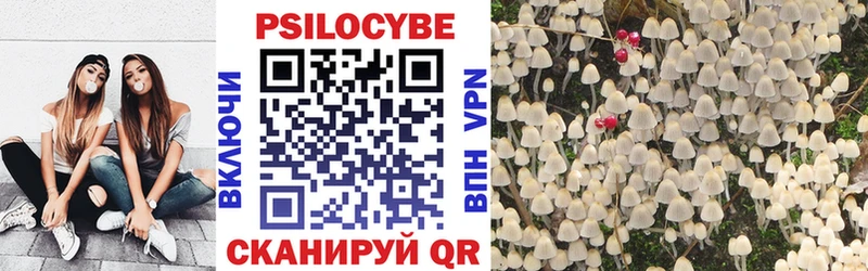 купить наркоту  Райчихинск  Галлюциногенные грибы мухоморы 